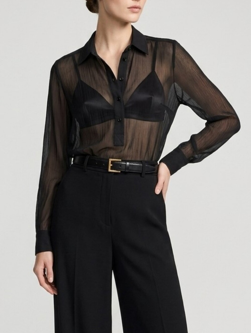 NWT Vintage 2005 SASCH Sheer Georgette Polo Blouse
